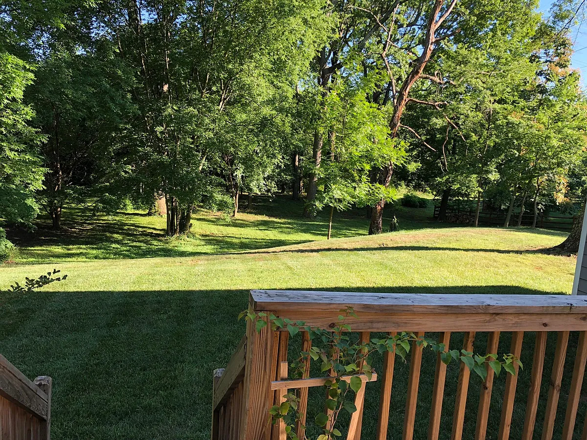Back deck overlooking acre lot - 3516 Benard Ave