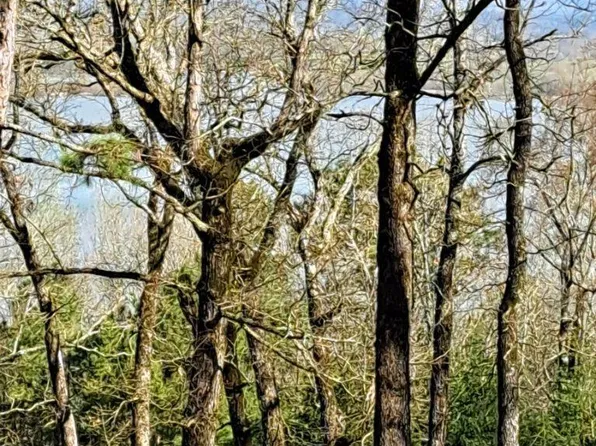 (undisclosed Address), London, AR 72847