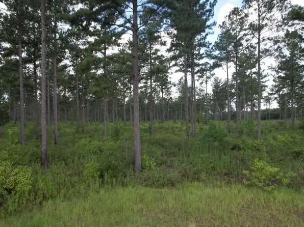 0 County Road 33, Ashford, AL 36312