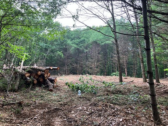 3rd image of 0 Stanley Road