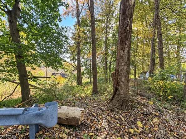 0 Pine Drive, Liberty Twp., NJ 07823