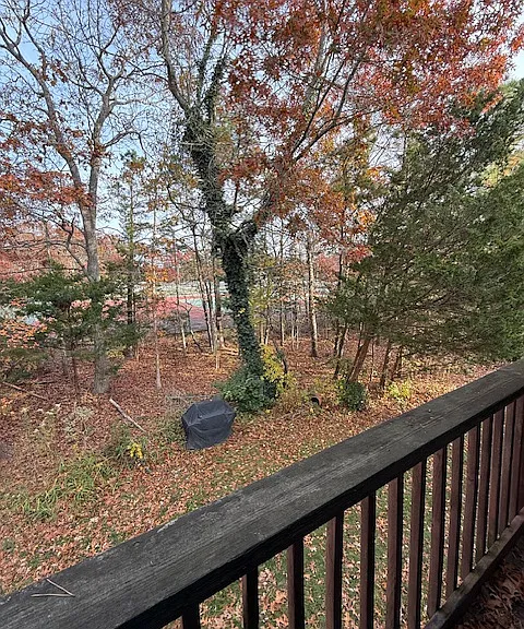 36 Whitemarsh Ct — Photo 16