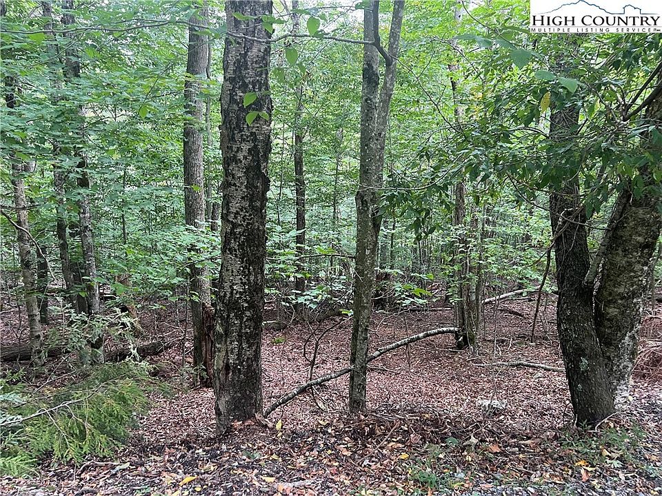 2nd image of 117 Lower Grouse Ridge Road