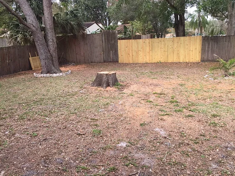 247 Oakwood Dr — Photo 12