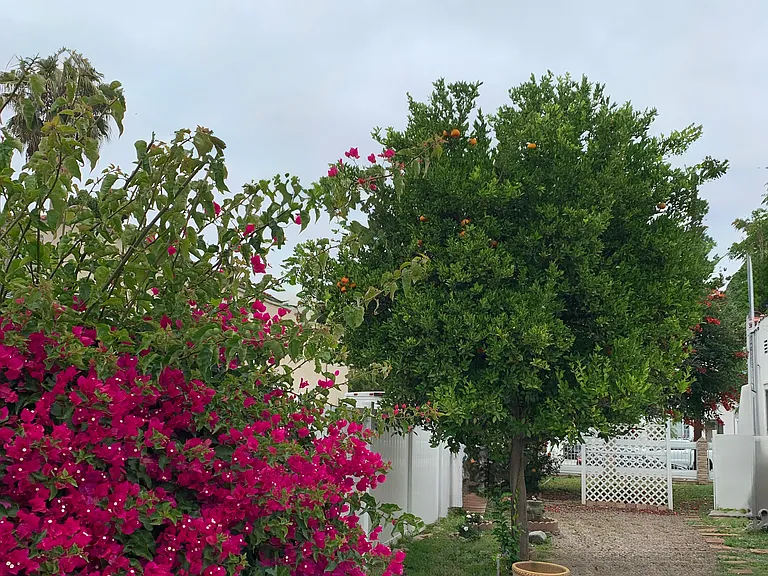 15846 Marlin Pl — Photo 17