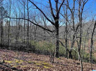 0 County Road 852 #4, Heflin, AL 36264
