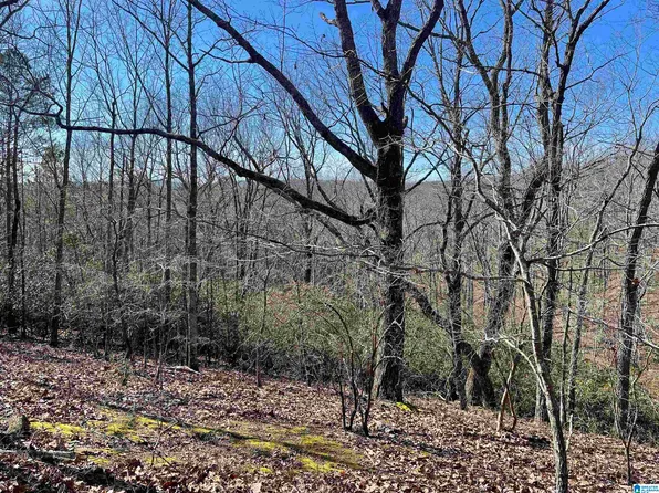 0 County Road 852 #4, Heflin, AL 36264