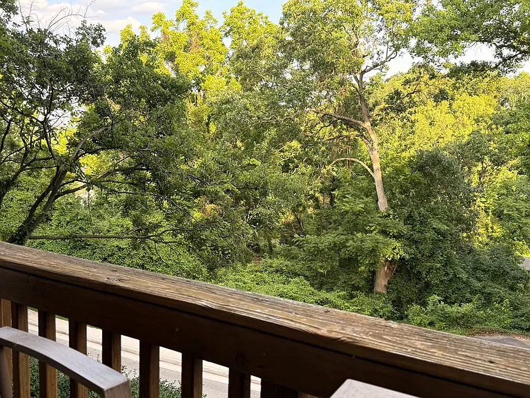 View from porch