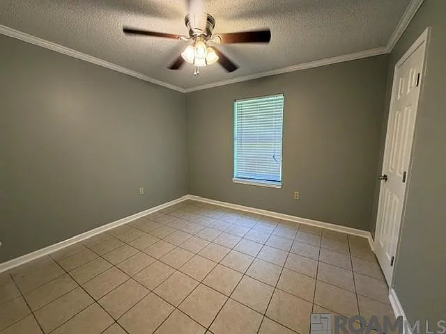 223 Oak St — Photo 6