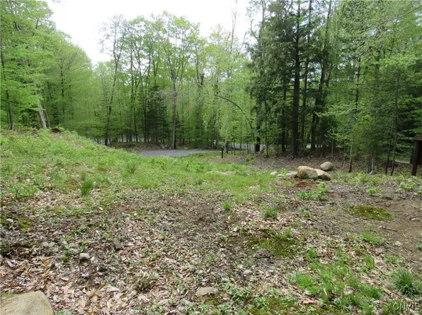 142 Joy Tract Rd, Old Forge, NY 13420