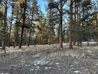 167 Homestead Ln, Florissant, CO, 80816