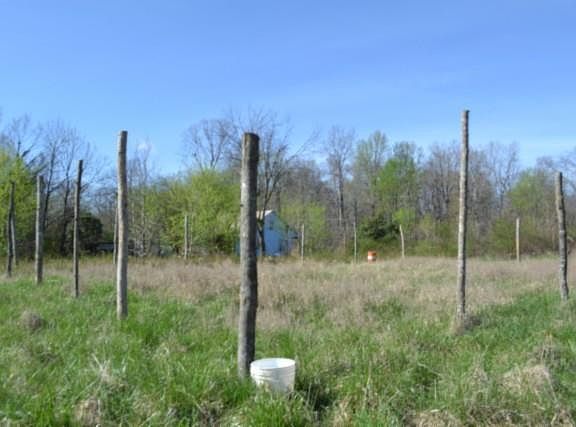 2nd image of 87/AC Boles Rd