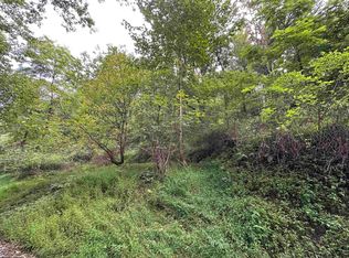 Racoon Run, Elkins, WV 26241