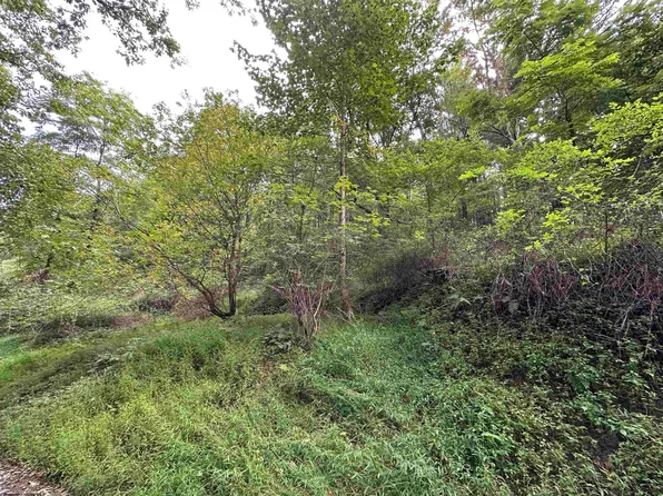 Racoon Run, Elkins, WV 26241