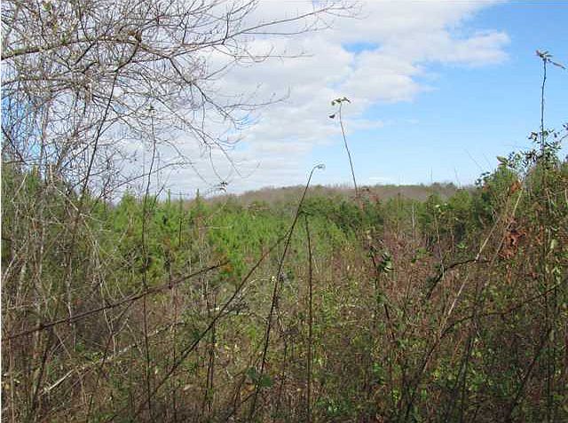 2nd image of 14601 Stormer Rd Lot 6