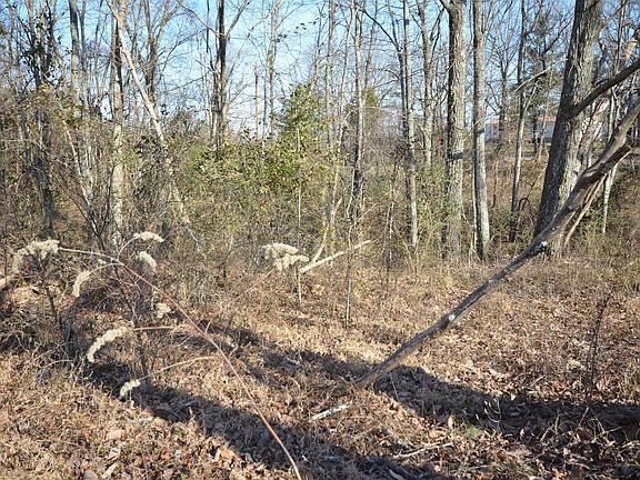 2nd image of 429 Worley Ln