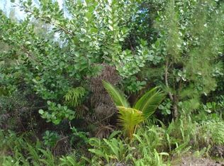 1st Avenue Akala LOT 2968, Keaau, HI 96749