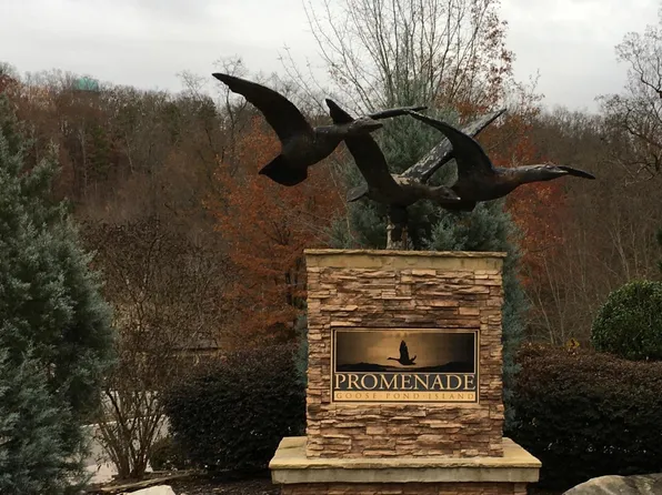 105 Pinnacle Point, Scottsboro, AL 35769