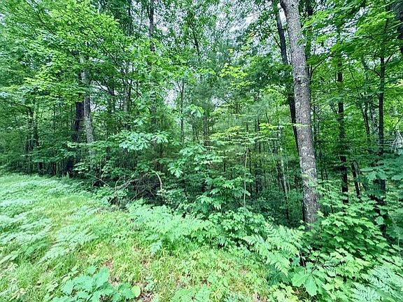 4th image of 8827 N Norwis Road