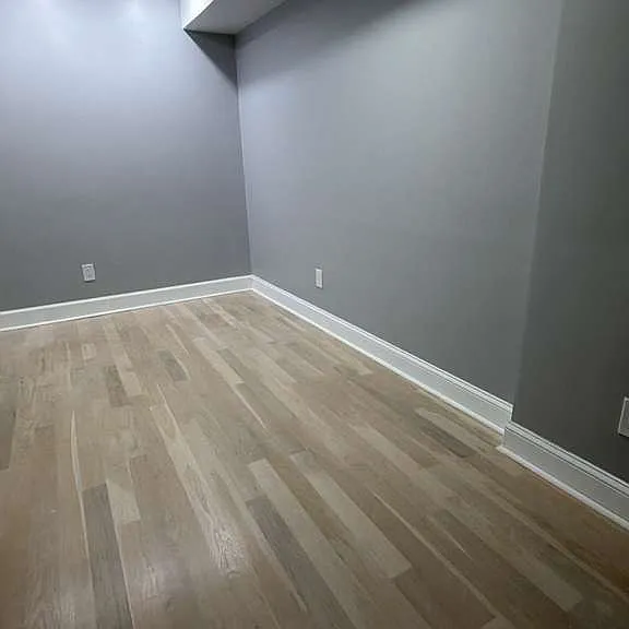 Basement Entertainment Room