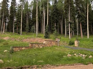 28651 Belle Point Drive, Conifer, CO 80433