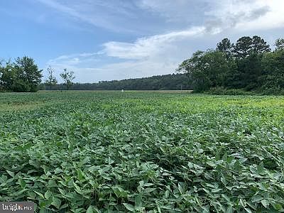 2nd image of 0 Grays Corner Rd