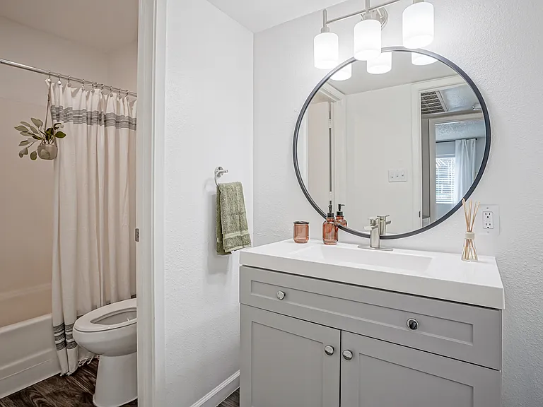 Modern Vanity with Upgraded Fixtures - Bathroom 2 - Platinum Interior