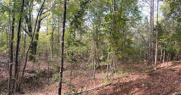 3rd image of 327 McNeal Rd