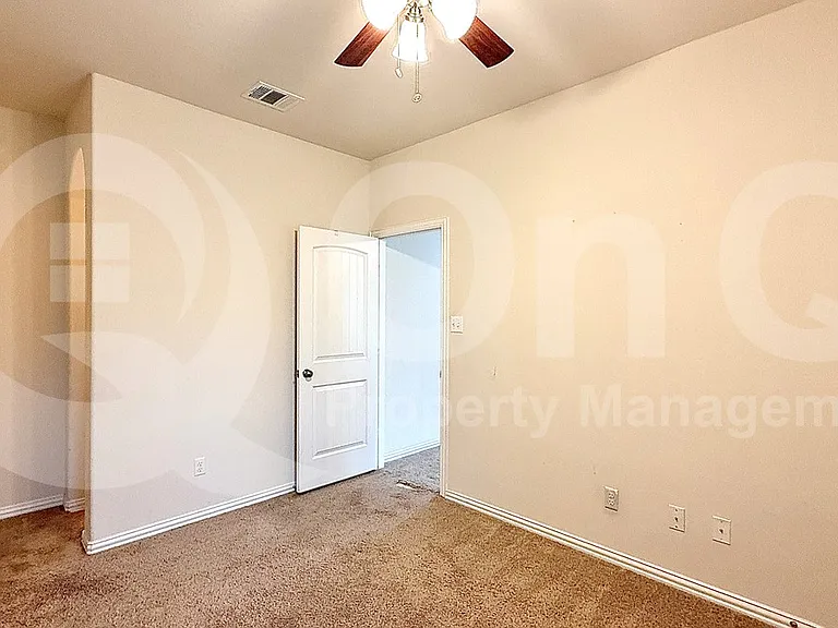 100 Lily Turf Cv — Photo 17