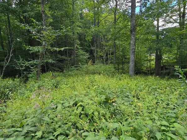 Tbd Lost Lake Rd, Troutdale, VA 24378