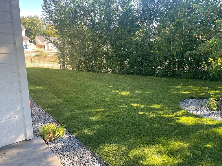 Fenced backyard