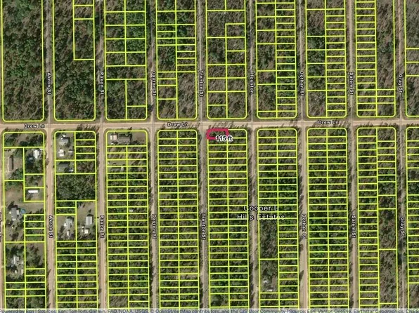 1403 Drew Ln, Interlachen, FL 32148