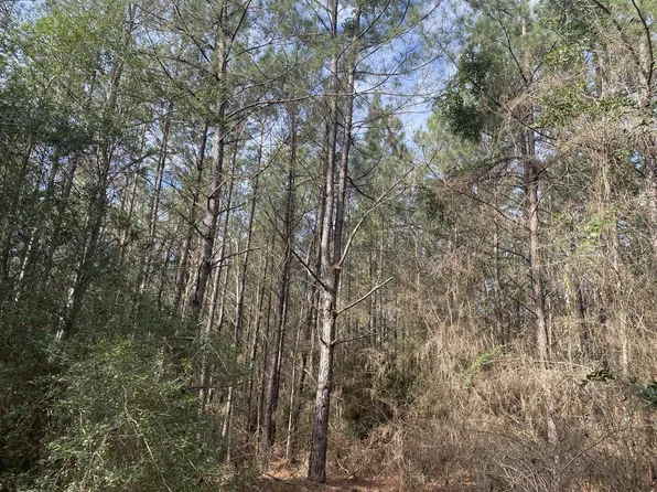 0 Unnamed Rd, Center, TX 75935