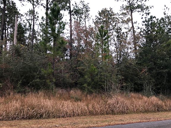 2nd image of 750 Spyglass Ct