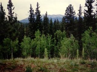 196 Pinewood Cir #LAND, Divide, CO 80814