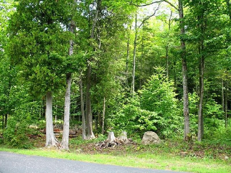 2nd image of 26 Pine Cove Ln