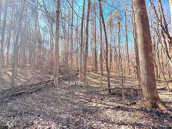 4th image of 53.44 Sparks Rd