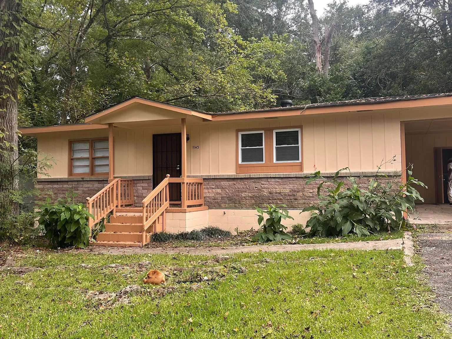 3 bed, 1053 sqft, $975 — Photo 1