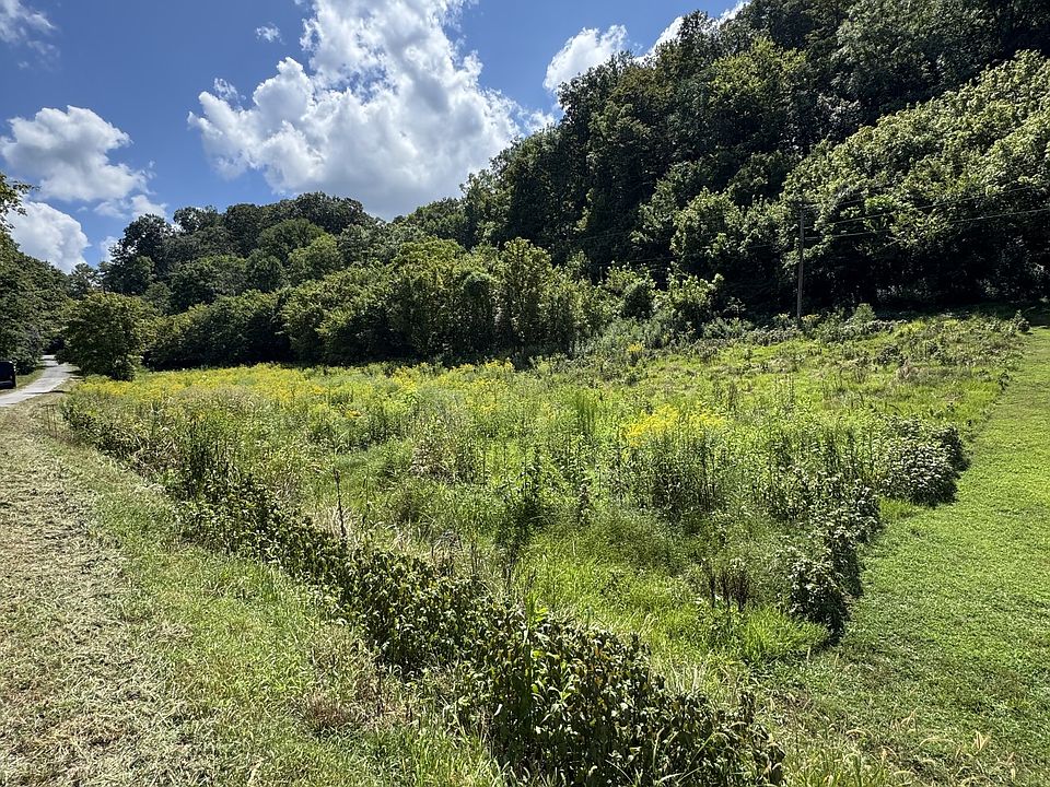 2nd image of 0 Sloan Branch Rd