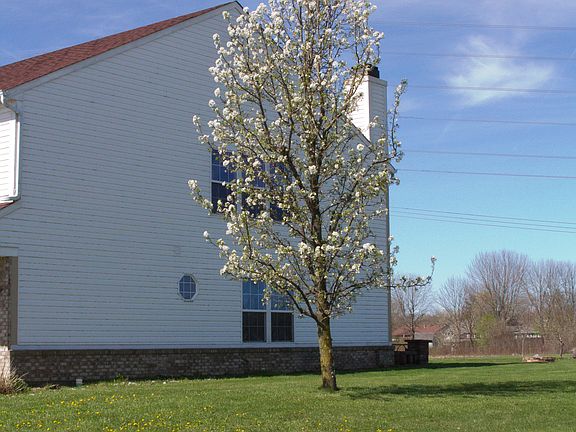 5th image of 3128 Cluster Pine Dr