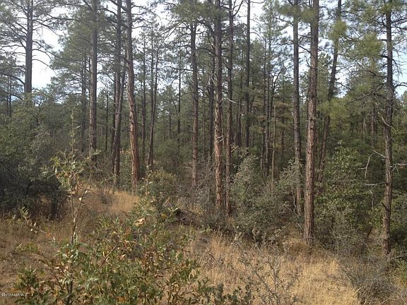 5th image of 2124 Chickadee Creek Pl
