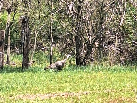 4th image of S County Road 750 E