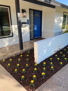 12041 N 29th St, Phoenix, AZ, 85028