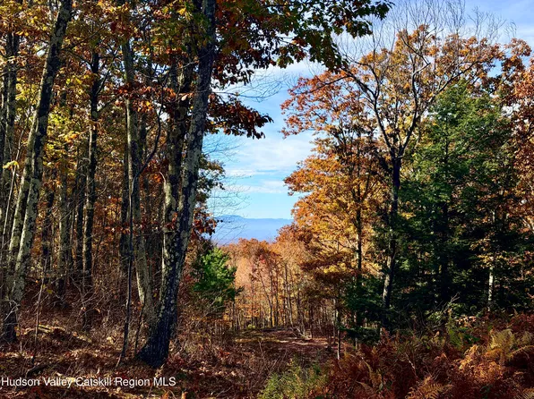 0 Mercer Mountain Road, East Chatham, NY 12060