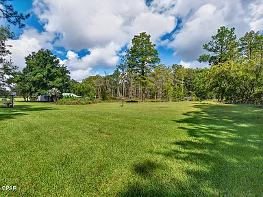 Property photo 43