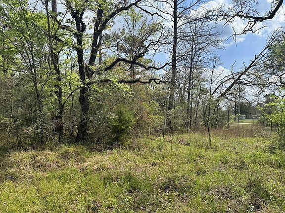 2nd image of 251 William Thomas Rd