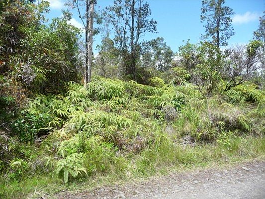 5th image of Road 10 Poouli Lot 5709