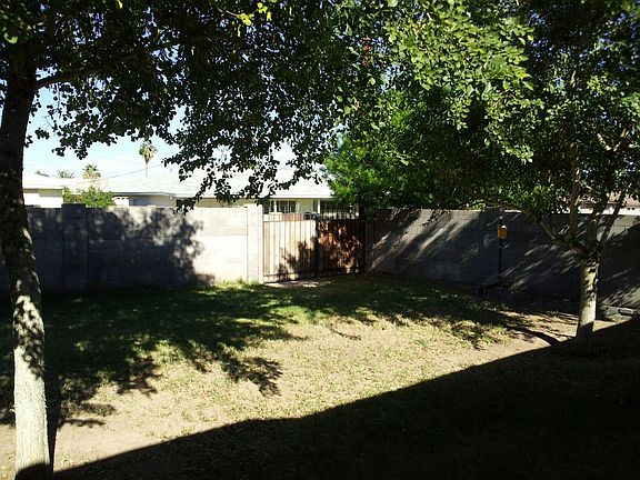 Back yard