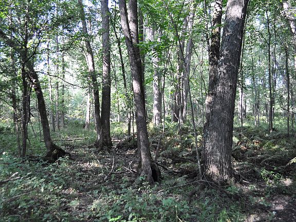 5th image of 7.38 Acres Cty #J