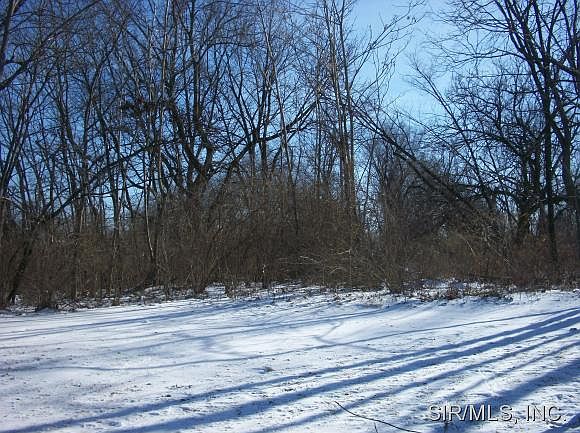 2nd image of 4010 Caseyville Ave